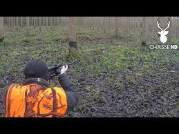 La technique de chasse en battues est la meme que vous partiquez nous avons nos propres chiens de chasse. Chasse Aux Sangliers En Battue Le Tir De L Annee Chasse Hd Youtube
