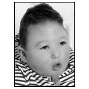 Lecours Family Obituaries