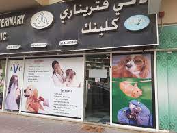 Customers and pets throughout the fraser valley depend on our veterinary services and advice. Lucky Veterinary Clinic Pet Clinics Vets In Al Barsha 1 Dubai