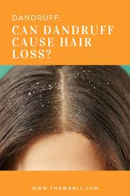 This can cause weak growth, dry hair and hair loss. Dandruff Can Dandruff Cause Hair Loss Thewaall Dandruff Causes Dandruff Hair Scalp Treatment