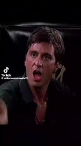 Videos de Barbara Dominguez (@dominguezmar00) con “sonido original