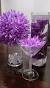Purple Plum Wedding Decorations