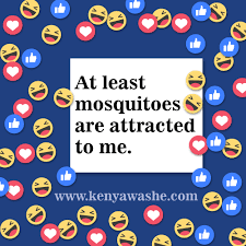funny one word status for whatsapp words funny quotes funny