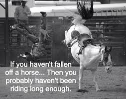 Two Feet Move Your Body Four Feet Move Your Soul Meaning Sphere Scramble In The Mud Festival Every Five Years Of Van Vilage In Bac Giang Provice Northen Of Vietnam Horses Funny Horses Horse Life