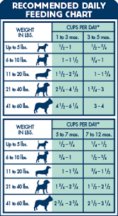 matter of fact natural balance feeding guide pure balance