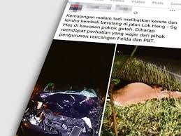 Kemalangan kemal angan jalan j alan raya raya pengenalan isu / definisi. Haiwan Berkeliaran Ancam Pengguna Jalan Raya