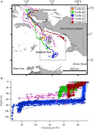 Veuillez nous excuser pour ce désagrement. Frontiers Impacts Of Temperature Measurements From Sea Turtles On Seasonal Prediction Around The Arafura Sea Marine Science