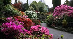 Think you know a lot about halloween? What Is The Male Part Of A Flower Trivia Questions Quizzclub