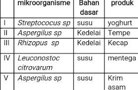 35 Perhatikan Tabel Diatas Ini Hubungan Yang Benar Antara Bahan Mentah Mikroorganisme Dan Brainly Co Id