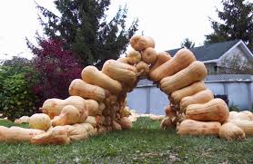 Squash arch is an arch made of pvc piping or fencing tough enough to bear the load caused by squashes. Thinking With My Hands Arch 12