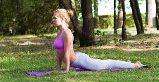 Many yoga poses were inspired by animals. 10 Yoga Poses Inspired By Animals Goodnet