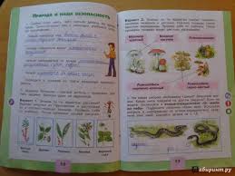 гдз по окружающему миру 3 класс проверочные работы плешаков рабочая тетрадь Gdz Po Okruzhayushemu Miru 3 Klass Po Rabochej Tetradi Pleshakov Prakard