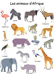 | animaux, faune, ferme, zoo photos d'animaux dans le bois, en mer, domestiques. Planches D Animaux Avec Noms A Imprimer Tidou Fr