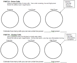 Animal cell coloring worksheet pdf free parts flower page plant from animal and plant cells worksheet, source:infowar.co. 32 Label Plant And Animal Cells Worksheets Labels Design Ideas 2020