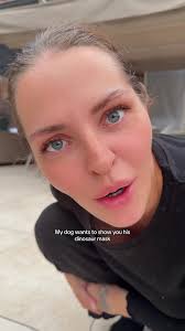 Pug with Dinosaur Mask