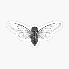 Our walls are covered with over a century of history. Cicada Tattoo Gifts Merchandise Redbubble