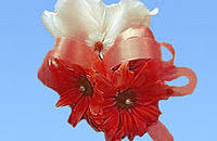 Send flowers to mcallen, tx. Mcallen Tx Florists Provide Wedding Flowers Centerpieces And More At Wedding And Party Network