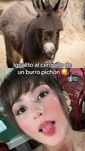 Naccia (@nacciaa.mr)