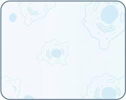 Diet and Cancer Metabolism