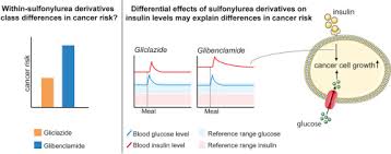 sulfonylurea derivatives and cancer friend or foe