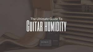 Guitar Humidity The Ultimate Guide The Art Of Lutherie