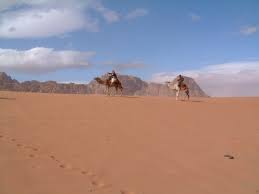 Feeding on desert herbs and shrubs to get resistance against many diseases due to medicinal effect of these plants. Climate Change In Jordan Wikipedia