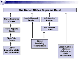 Organization Of U S Court System
