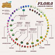 Flora Colour Circle Chart V 2 Edits After Some Suggestions And Also Added Lily Of The Valley More In C In 2020 Animal Crossing Animal Crossing Game Rainbow Flowers