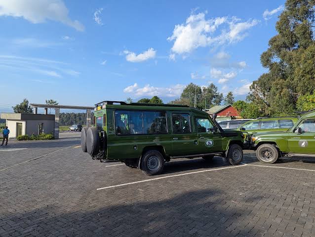 car-rental-driver-volcanoes-national