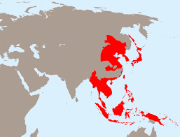 1 de rezultate pentru eticheta razboiul ruso japonez 1905. RÄzboiul Din Pacific Primul RÄzboi Modern Pentru Petrol