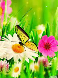 With tenor, maker of gif keyboard, add popular flowers animated gifs to your conversations. Animated Flower Flower Nature Flowers Butterfly Animated Gif Lily Flower Gifs Animated Flower Nature Photography Flowers Flowers Gif Nature Gif