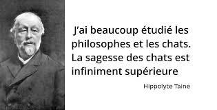 Citation de louis de bonald; Victor Hugo Dieu A Invente Le Chat Pour Que L Homme Ait Un Tigre A Caresser Chez Lui L Histoire En Citations