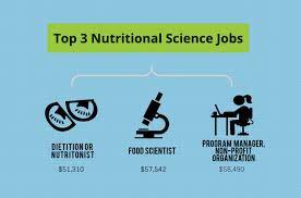 We did not find results for: What Can I Do With A Bachelor S In Nutritional Science Degree Bachelors Degree Center