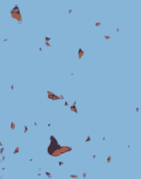 The perfect yellow butterfly flowers animated gif for your conversation. Animated Gif Butterfly Flying Gifs Tenor