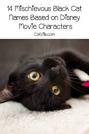 14 Mischievous Black Cat Names Based On Disney Movie Characters Catvills Disney Pet Names Cat Names Disney Cat Names