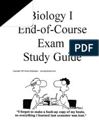 Biology eoc review packet answers 2021. Bio Eoc Review Packet Pdf Meiosis Dominance Genetics