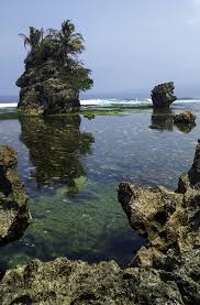 Imam melakukan salat terlebih dulu, sebelum melangkahkan kaki di sepanjang kain putih, menuju ke depan mimbar. Kenangan Cengkih Di Pulau Pisang Perjalanan Koran Tempo Co