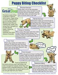Maybe you would like to learn more about one of these? The Best Way To Handle Puppy Biting What A Great Dog