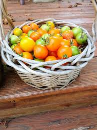 Growers say that this hybrid is the best paste tomato on the market. Re Pepperhead212 S 2020 Garden Page 2 Helpfulgardener Com