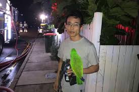 Maybe you would like to learn more about one of these? Pemilik Rumah Selamat Dari Kebakaran Karena Burung Beo Peliharaan Dunia Tempo Co