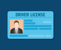 Car Driver License Drivers License Drivers License Pictures Car And Driver