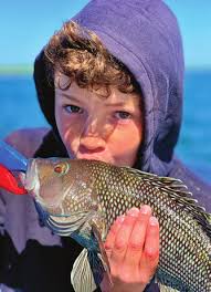 SPECIAL SHOW EDITION