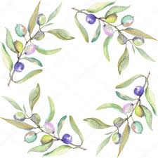 Olive Branches Green Fruit Leaves Isolated White Watercolor Background Illustrat Affiliate Fruit Leaves Watercolor Background Green Fruit Olive Branch