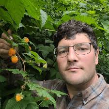 Growing and Using Salmon Raspberries for Fruit Leathers