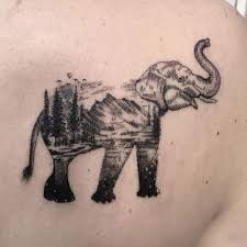 Symbolic meanings, popularity, placement, historical background. 75 Best Elephant Tattoo Designs For Women 2021 Guide