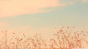 2048x1152 wallpapers art wallpaper desktop wallpaper art painting wallpaper nature wallpaper framed art prints art thundercloud abstract painting. Desktop Wallpaper 90 Ideas On Pinterest In 2020 Desktop Wallpaper Aesthet Vintage Desktop Wallpapers Aesthetic Desktop Wallpaper Desktop Wallpaper Macbook