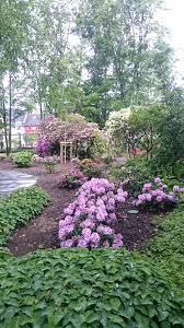 Der botanische garten begrüsst sie wieder ab 1. Neue Rhododendren Bluhen Neuss Am Rhein