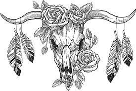 Cow coloring pages (76) cow coloring sheets (20) cow free coloring pages (23) Amazon Com Bull Skull With Roses And Feathers Bull Pictures Wall Decor Longhorn Picture Longhorn Wall Decor Bull Picture Of A Cow Skull Picture Bull Horns For Wall Cool Wall Decor Art Print