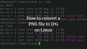 Maybe you just want improved image quality, but if you want a tool that'll make full use of the png format, you've come to the right place. How To Convert A Png File To Jpg On Linux