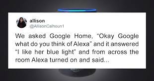 A european or an african swallow? 25 Funny Tweets About Amazon Alexa That Prove There S Nothing Artificial About Her Intelligence Bored Panda